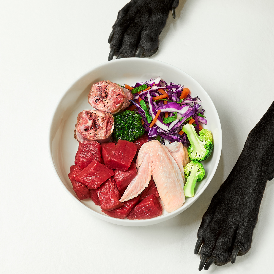 Raw Feeding
